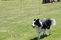 IMG_5881