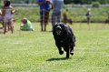 IMG_5904