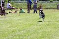 IMG_5913