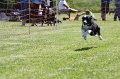 IMG_5914