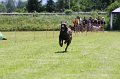 IMG_5920