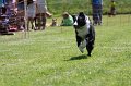 IMG_5937