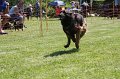 IMG_5953