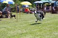 IMG_5963