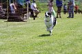 IMG_5966