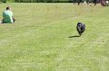 IMG_5978