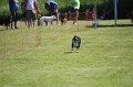IMG_5982