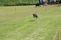 IMG_5985