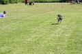 IMG_6011