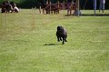 IMG_6014