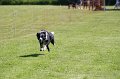 IMG_6022