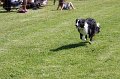 IMG_6024