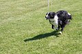 IMG_6025