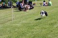 IMG_6034