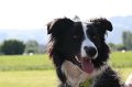 IMG_6057