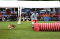 IMG_1149