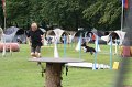 IMG_1184