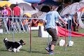 IMG_3359