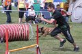 IMG_3392