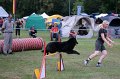 IMG_3456