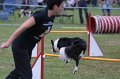 IMG_3460