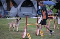 IMG_3462