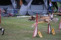 IMG_3464