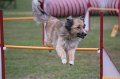 IMG_3465
