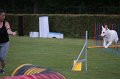 IMG_3489