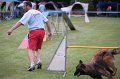 IMG_3530