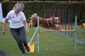 IMG_3551