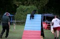 IMG_3656