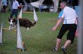 IMG_3661