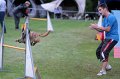 IMG_3685