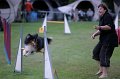 IMG_3737