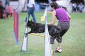IMG_3745