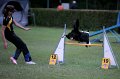 IMG_3796