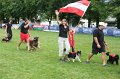 IMG_3811