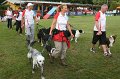 IMG_3829