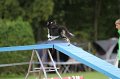 IMG_5518