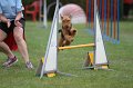 IMG_5586