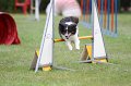 IMG_5619