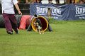 IMG_5654