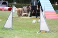 IMG_5705