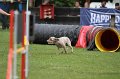IMG_5729