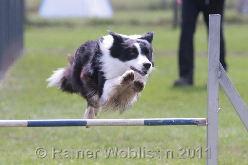 IMG_2629.JPG