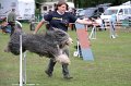 IMG_2648