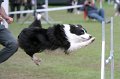 IMG_2662