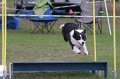 IMG_2664