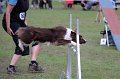 IMG_2665
